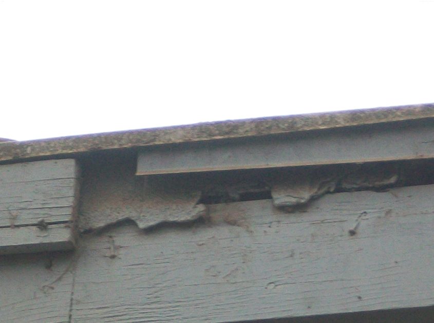 termite-rot-repair-installation-torrance-ca