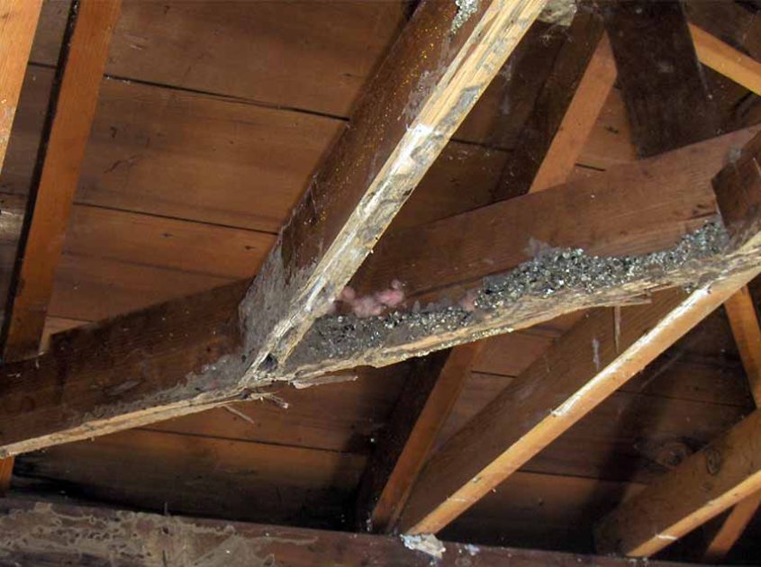 termite-wood-repair-torrance-ca (1)